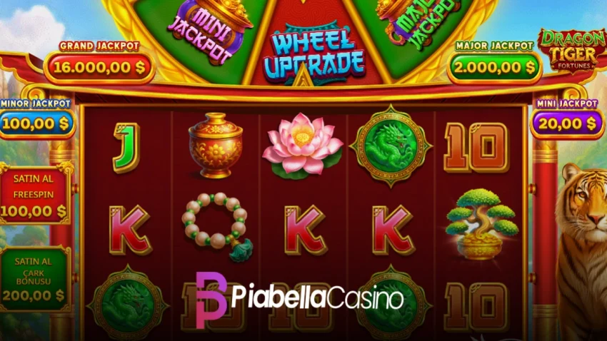 Piabella Dragon Tiger Fortunes oyunu